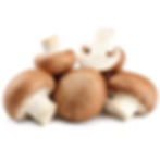 CHAMPIGNON