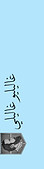 WhatsApp Image 2022-02-25 at 7.51.26 PM.jpeg