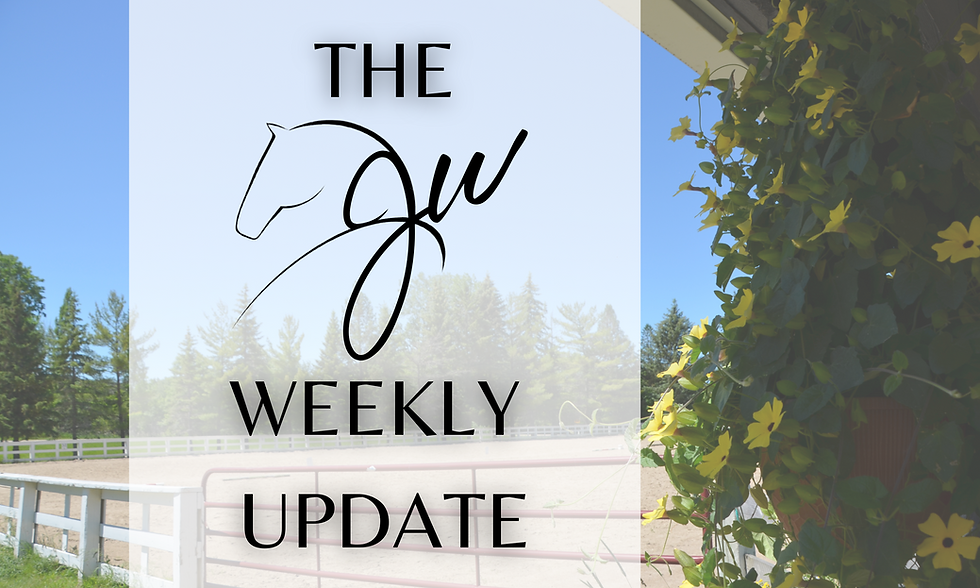 The JW Weekly Update Vol. 3