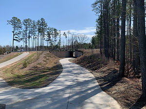 Concrete path.jpg