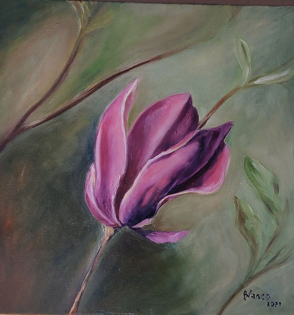 Magnolia 2