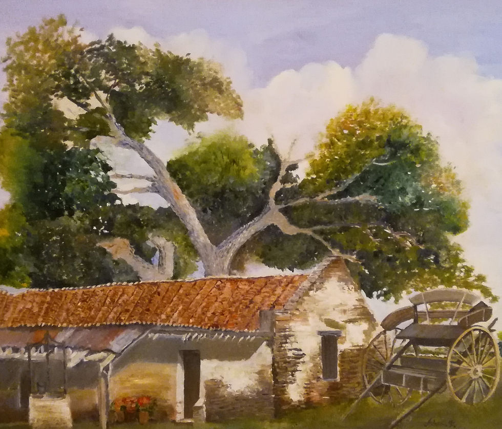 Casa se Campo