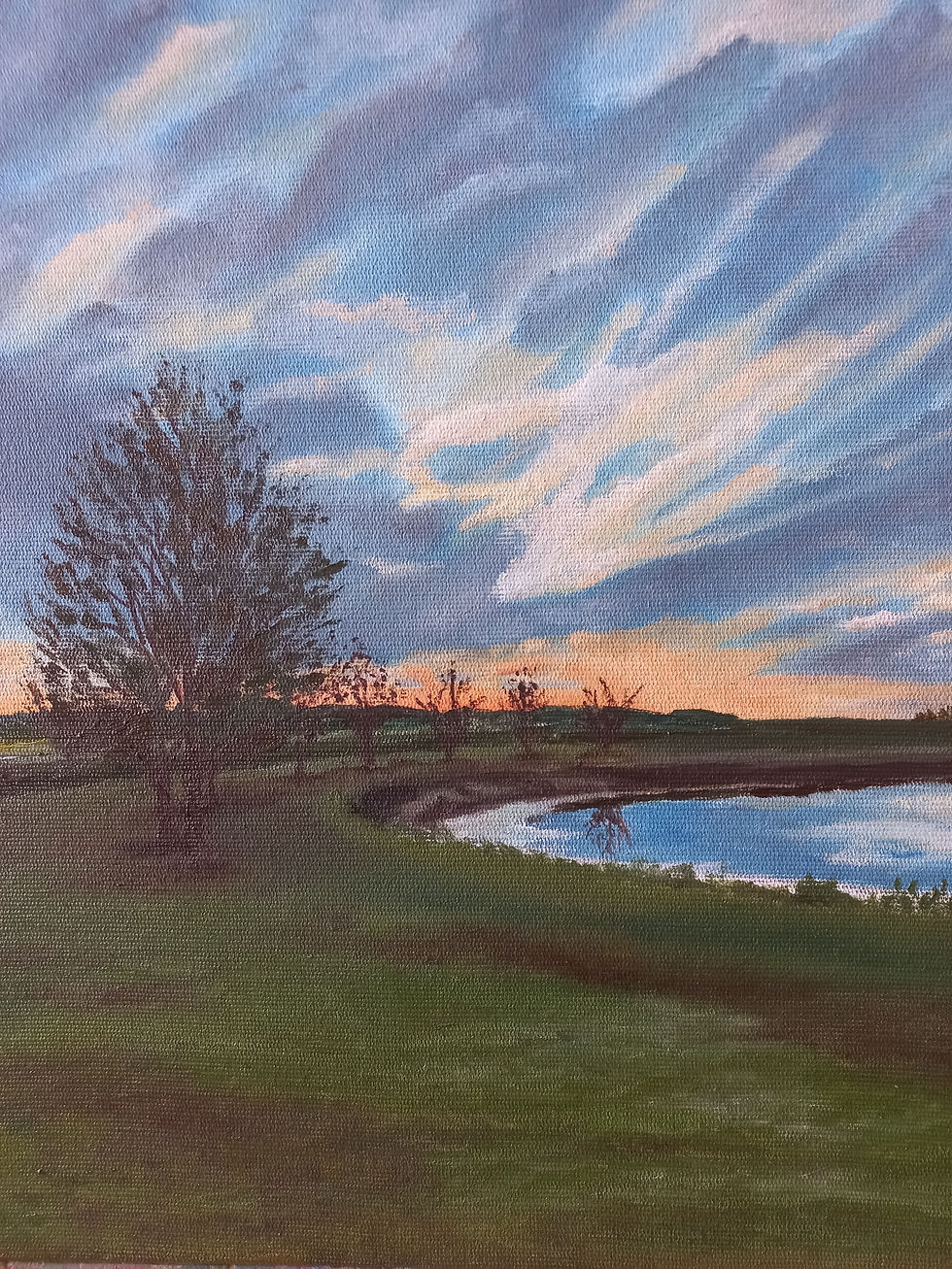 Atardecer en el Campo