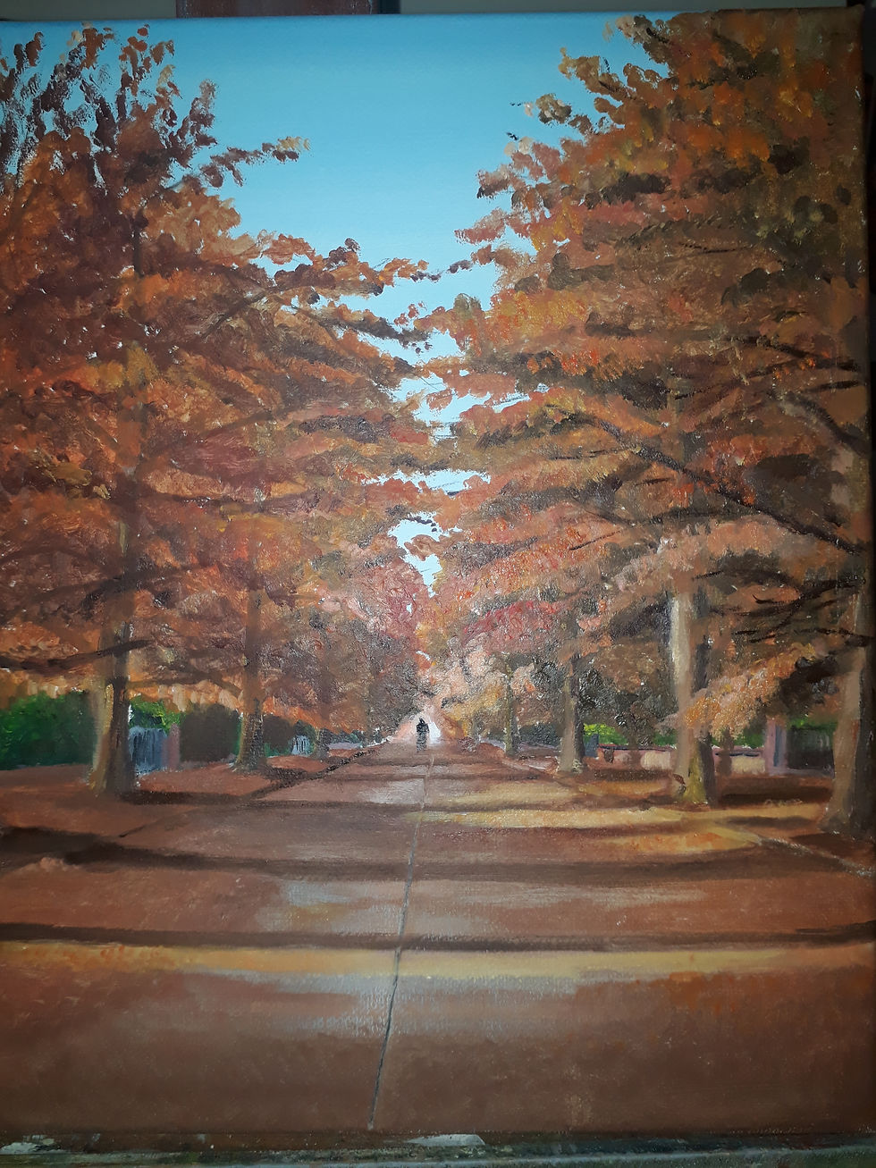 Carrasco, cipreses calvos en otoño