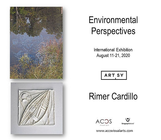 Environmental Perspectives by Rimer Cardillo