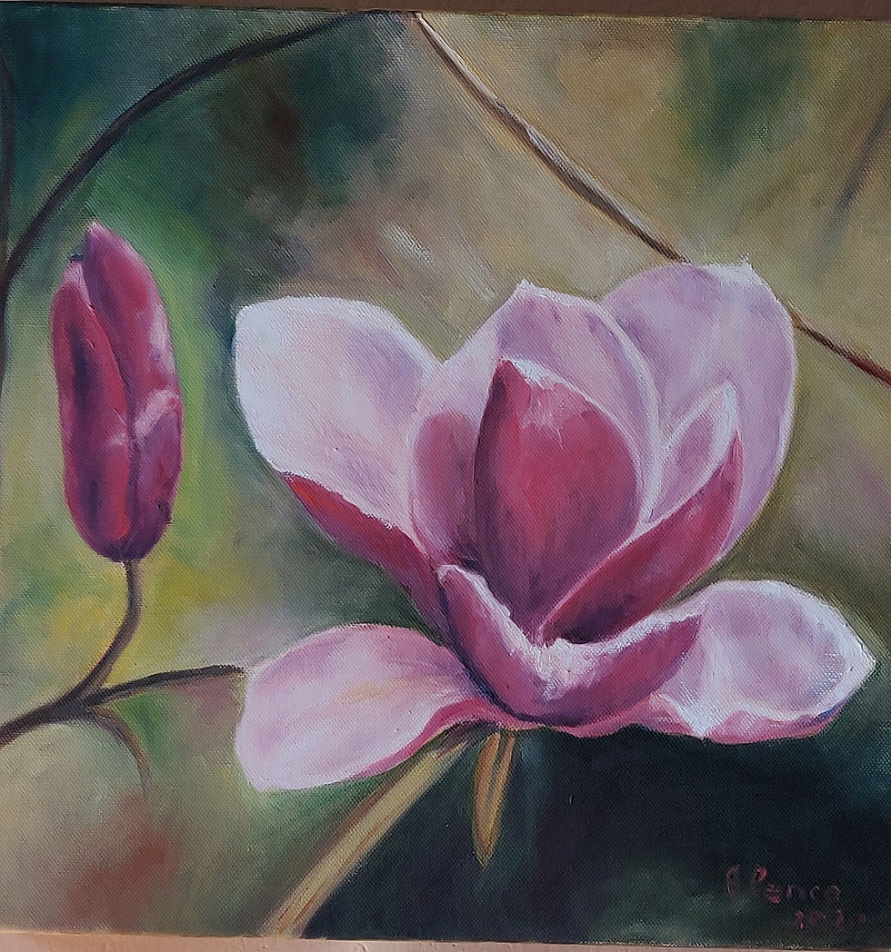 Magnolia 1