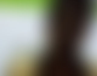 Dharti Movie Hindi Dubbed Download 720p Hd