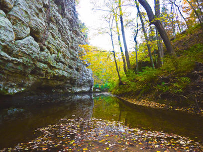 Creek in Southern Illinois