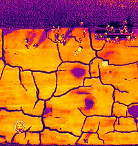 Infrared Drone captures during Drone Zone 2025