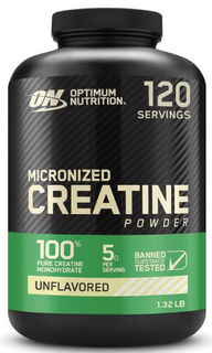 Optimum Nutrition Micronized Creatine Monohydrate Powder