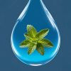 Thumbnail: Peppermint (Mentha Piperita) is known for its refreshing and stimulating properties. It aid circulation and digestive upsets 