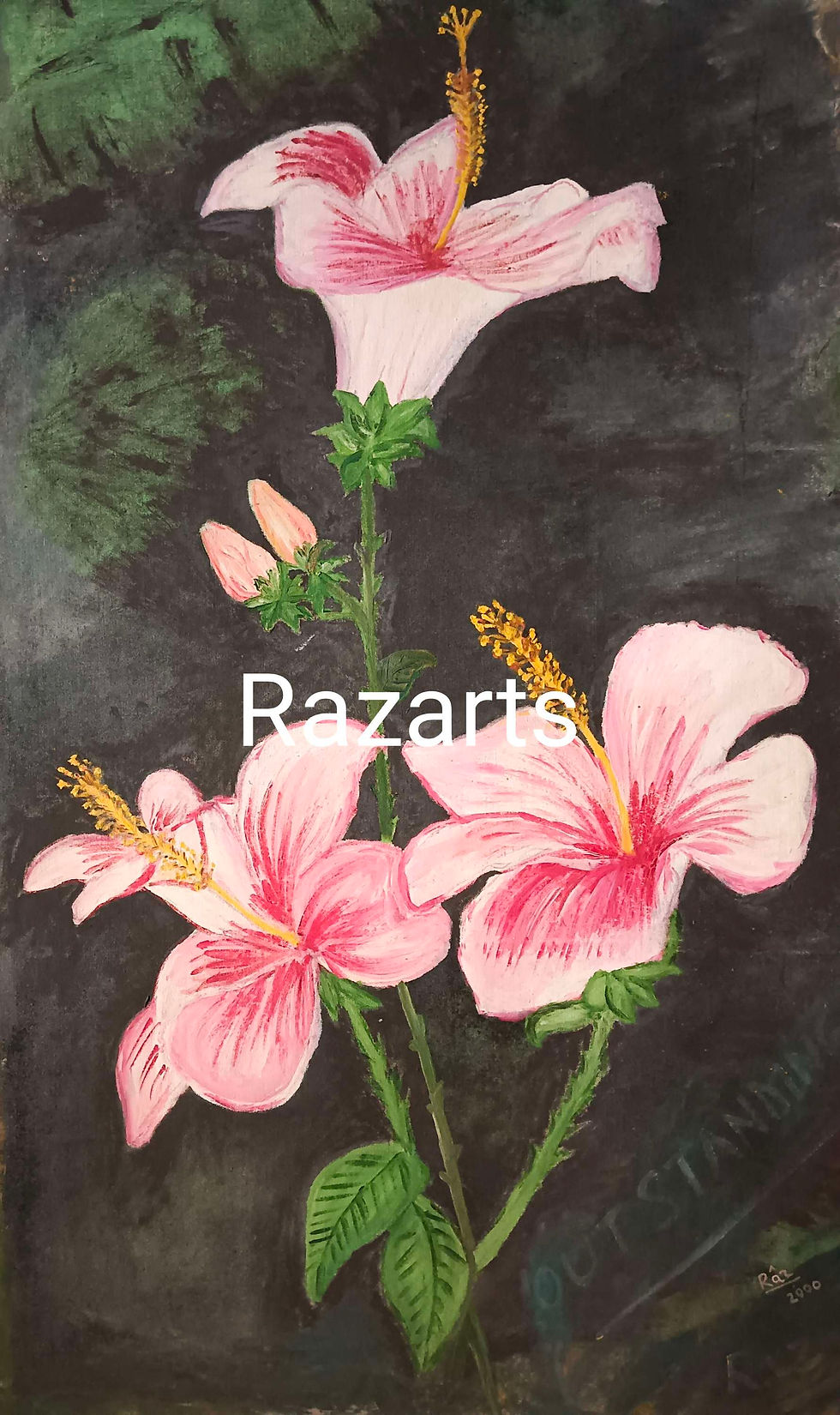 Thumbnail: Pink hibiscus flowers artwork with 'Razarts'