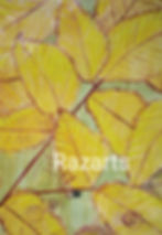 Yellow leaves with Razarts text