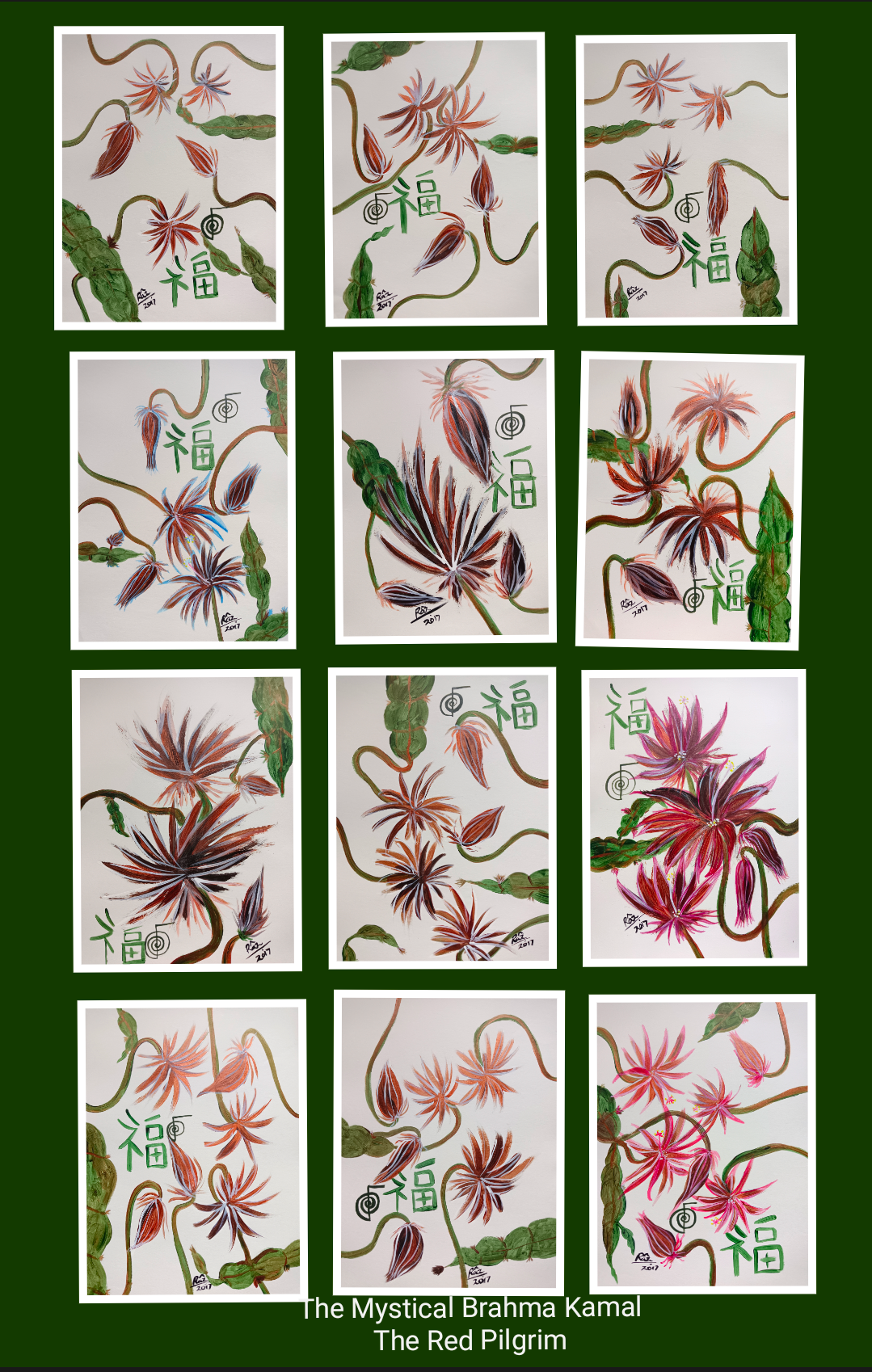 The Mystical Brahma Kamal ! Limited collection 12