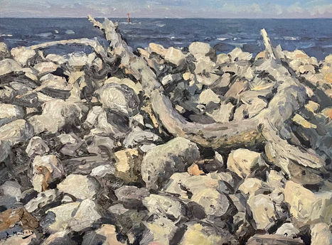A dramatic view of sunbleached white rocks and a giant piece of driftwood contrasted against a strip of blue choppy sea behind.