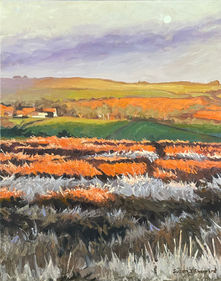 A striking view of Danby Moors- the winter heather bushes illuminated orange and the moonrises in the sky.