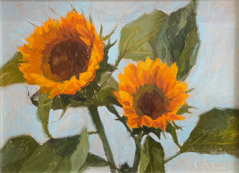 A study of sunflowers from life with a pale blue background.