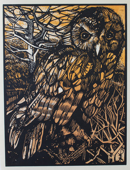 Stonegate Owl