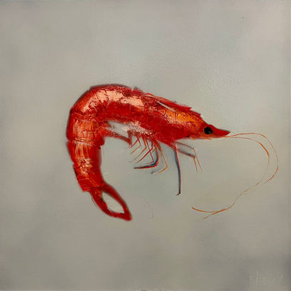 An abstracted depiction of a prawn in profile on a pale blue background.