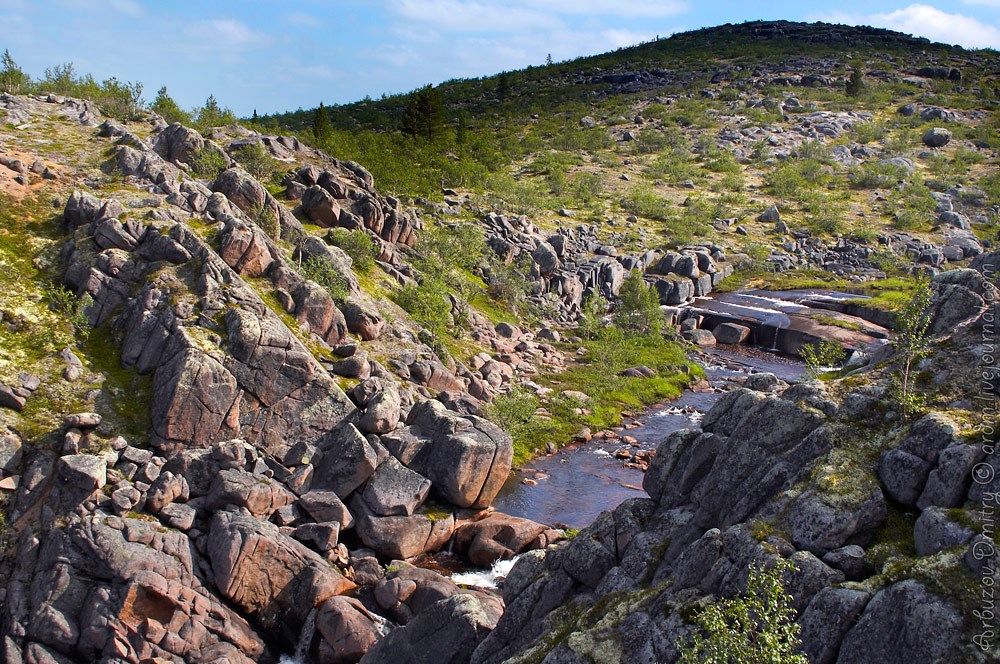 ресурсы кольского полуострова. лесные ресурсы мурманской области. ловозеро кольский полуостров. кольский полуостров териберка. река воронья кольский полуостров.