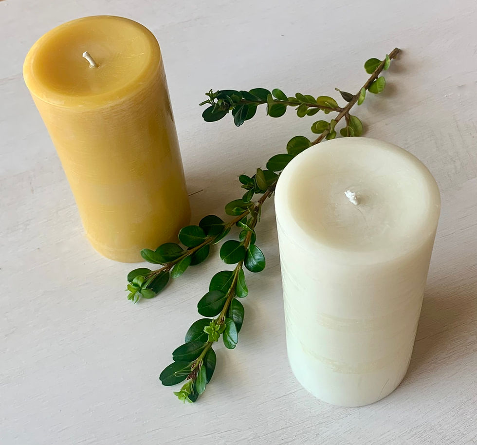 Miniatura: Beeswax Candles