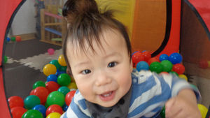 今日のたんぽぽちゃん♡(5月10日)