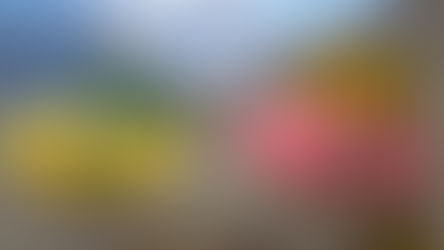 2月の壁面製作の紹介♪①