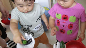 ピーマン収穫2回目☆