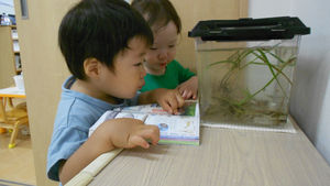 図鑑と一緒だね♪