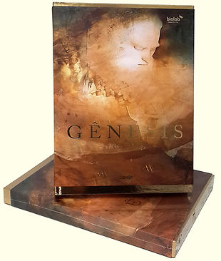 04 - Livro Genesis - Carlos Araujo.jpg