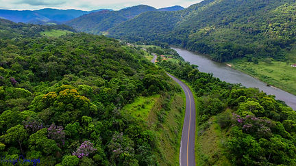 PLANO_DE_FUNDO_LOCALIZAÇÃO.IPBio.DJI_0028-109.JPG