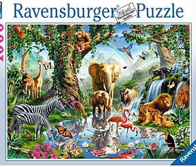 Adventures in the Jungle.jpg