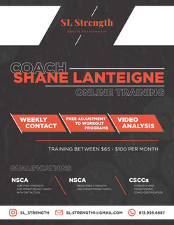 Shane Lanteigne Flyer.jpg