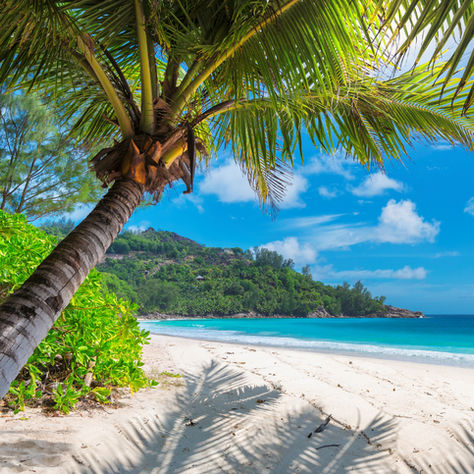 Authentic Athlete Stories: Voices from Every Lane