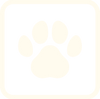 ícone-linha-nório-petcare