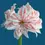 Thumbnail: Amaryllis