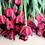 Thumbnail: Winter Tulips