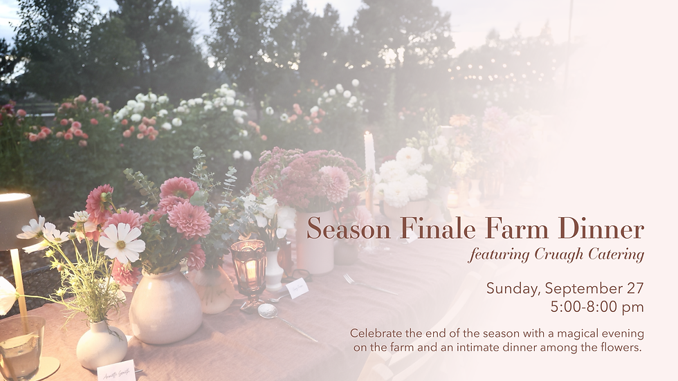 Season Finale Farm Dinner