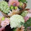 Thumbnail: Mixed Flower Bouquet