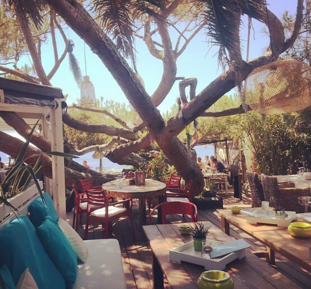 la croix valmer golfe de saint tropez couleurs jardin france