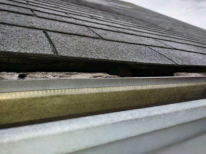 rotten fascia board - squirrel removal - williamstown, nj