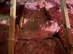 The Dangers of Animals in the Attic: How to Safely Remove and Prevent Unwanted Guests