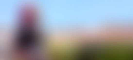 Shining as brigh as I can as a childrens book illustrator