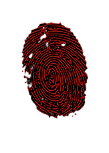 2_edited.png