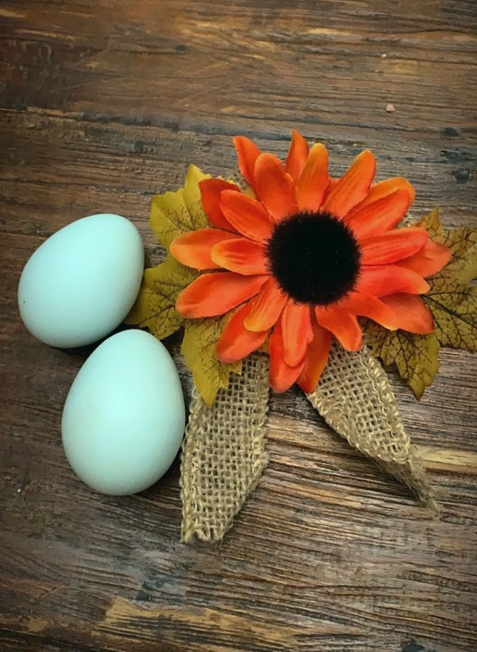 Thumbnail: Assorted Dozen Hatching Eggs for Sale | Rare Breeds | Bari Farms