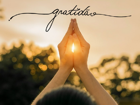 Lei da Gratidão funciona?