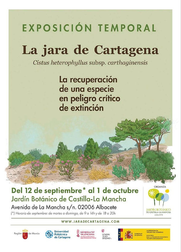 Cartel exposición jara de Cartagena.jpg