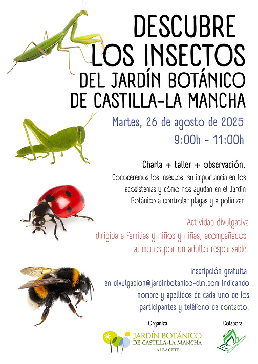 taller insectos.png