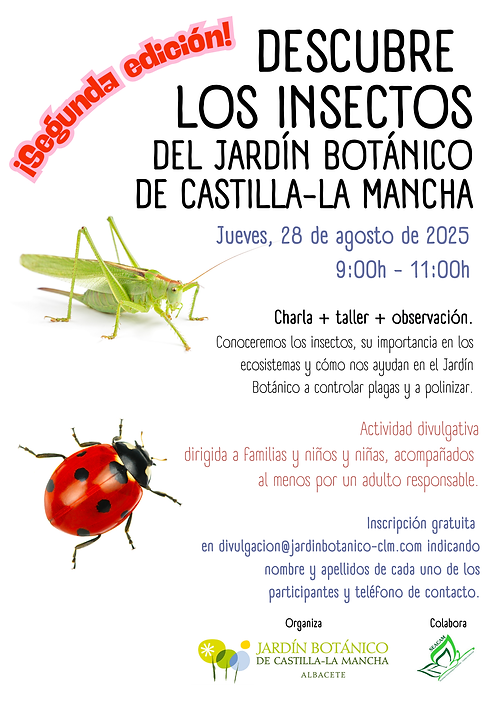 taller insectos 2.png