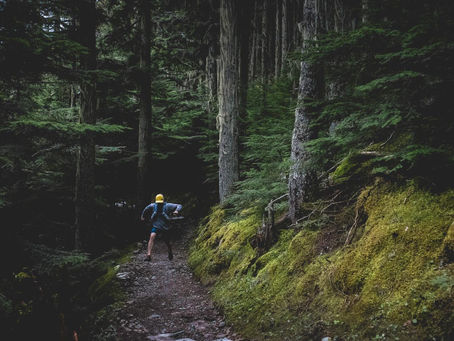 Physical Therapy for Runners: Stay Injury-Free and Run Stronger